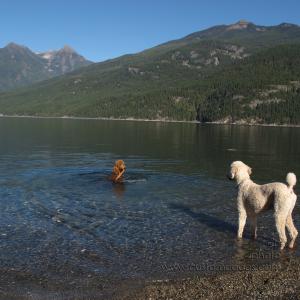 ElwoodCiCoch_KasloLake