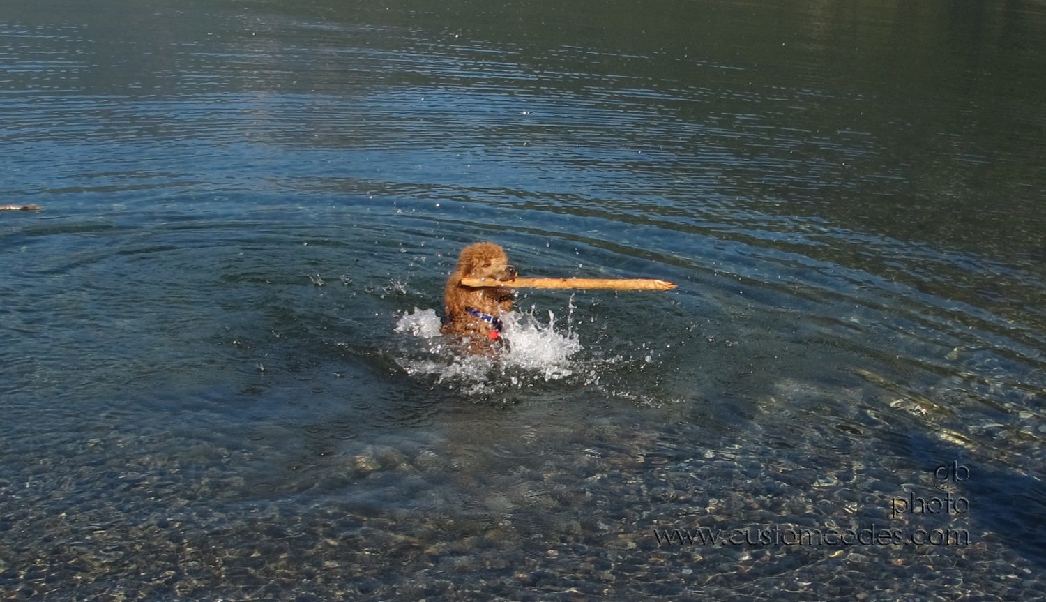 LookMomImSwimming