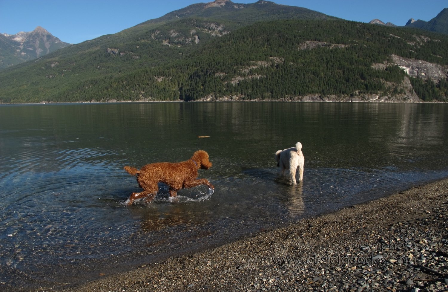 CiCochElwood_KasloLake