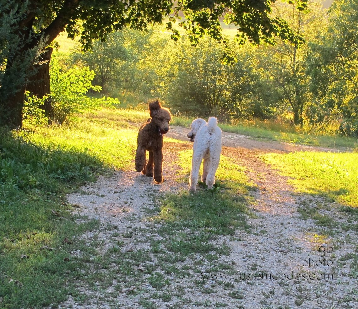 GoldenHour_20140903_20