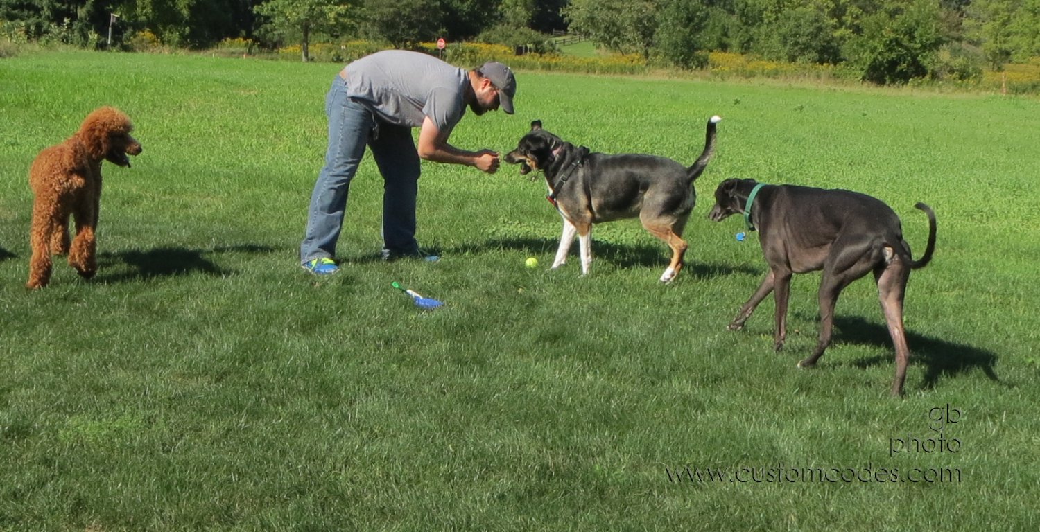 gamePlan_20140906
