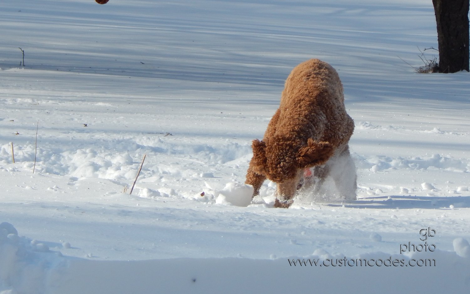 CiCoch_20150203_FindIt2
