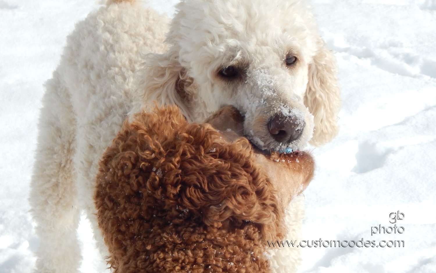 ItsMine_20150204