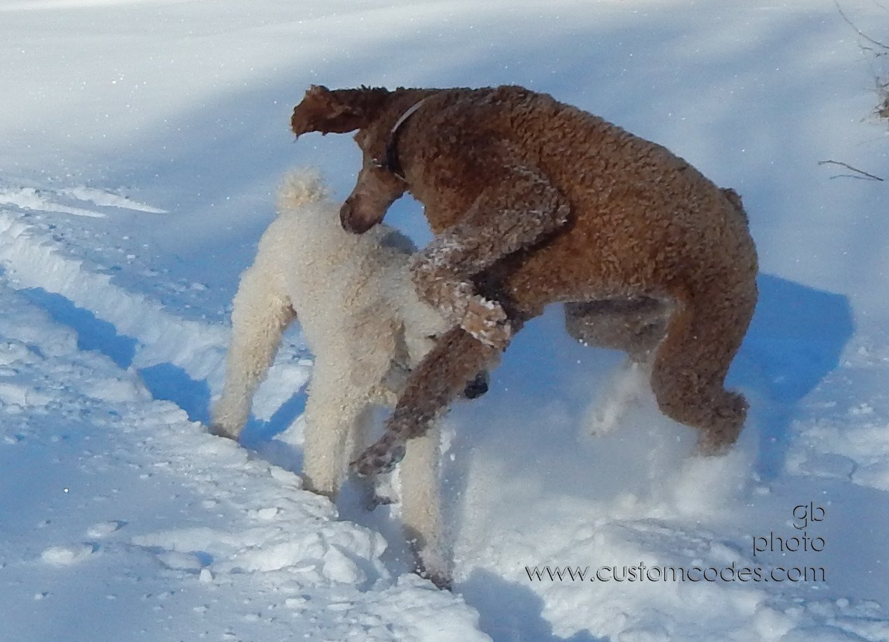 Playtime_20150202