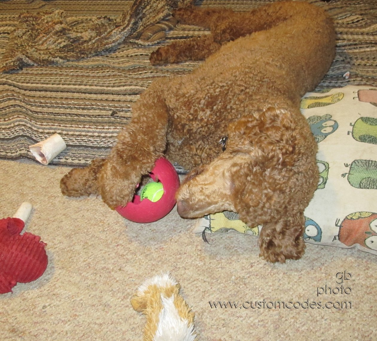 Naptime_20150118