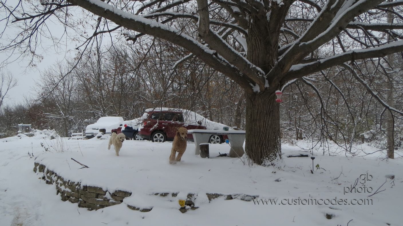 CiCochElwood_20151121