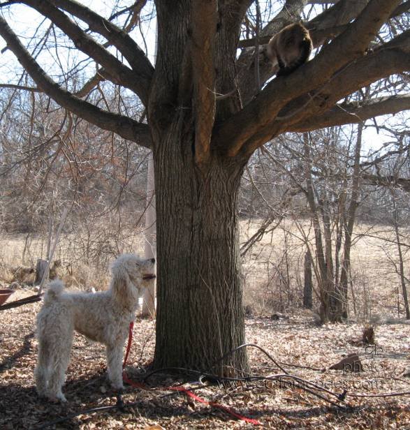 elwoodNsammy090316