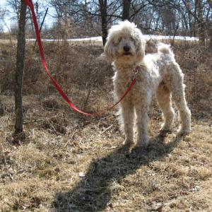 elwood_090316