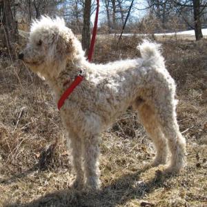 elwood_profile_090316