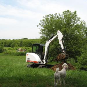 ElwoodWatchingBackhoe