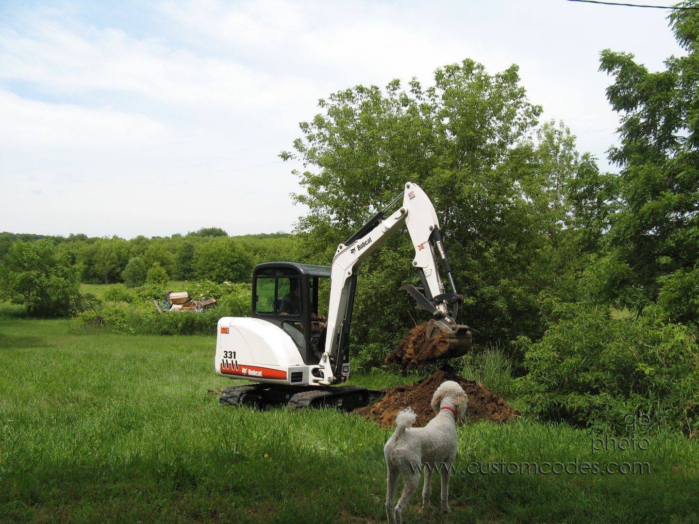 ElwoodWatchingBackhoe