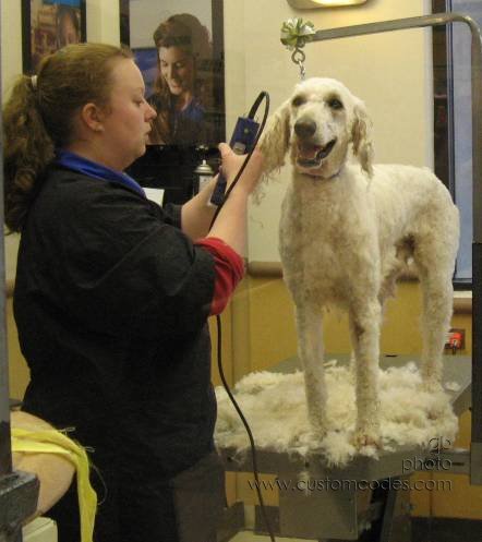elmogettingtrimmed_090325