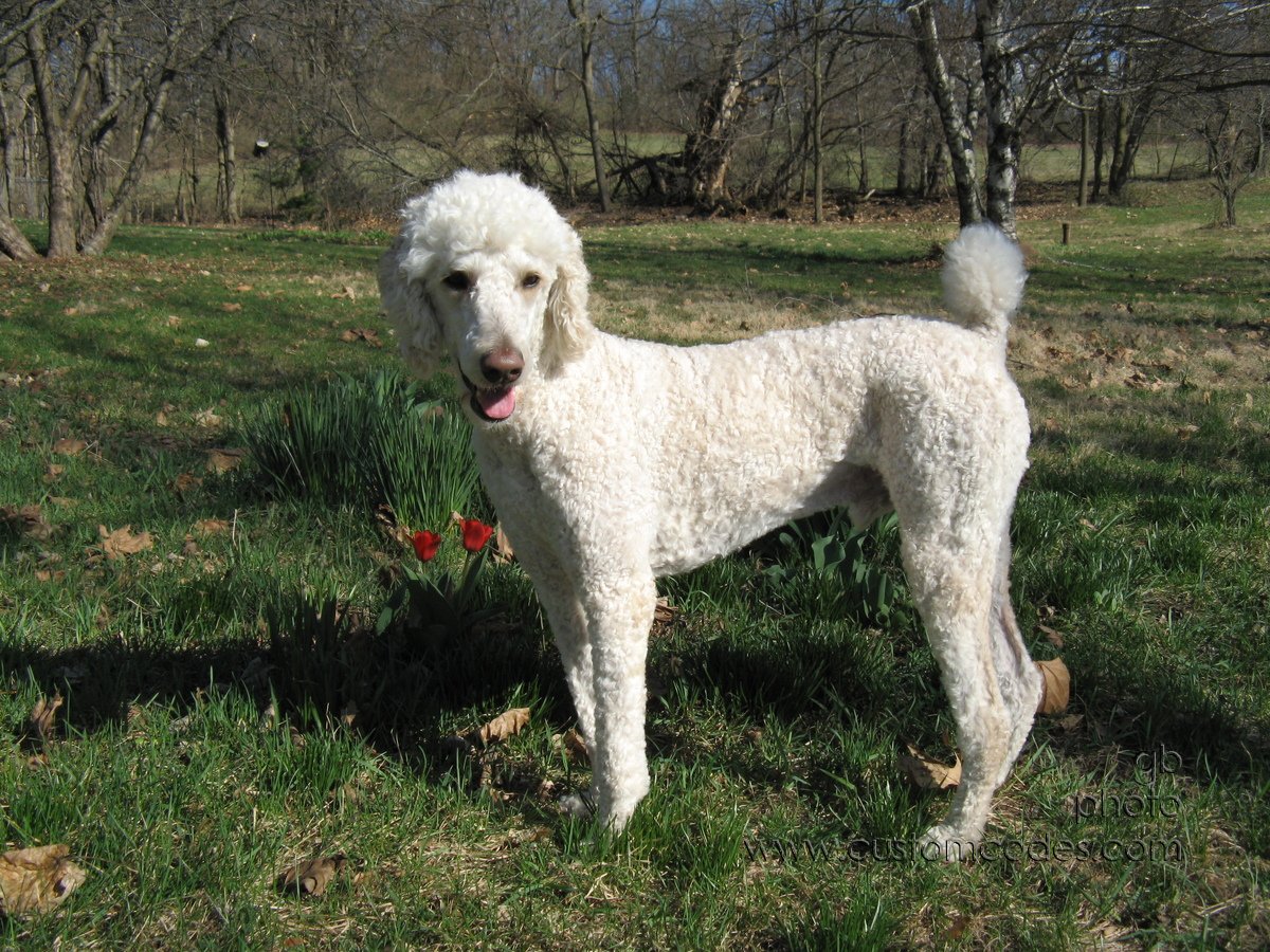 Elwood20100403