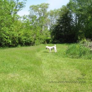 ElwoodHuntingWoodchucks2