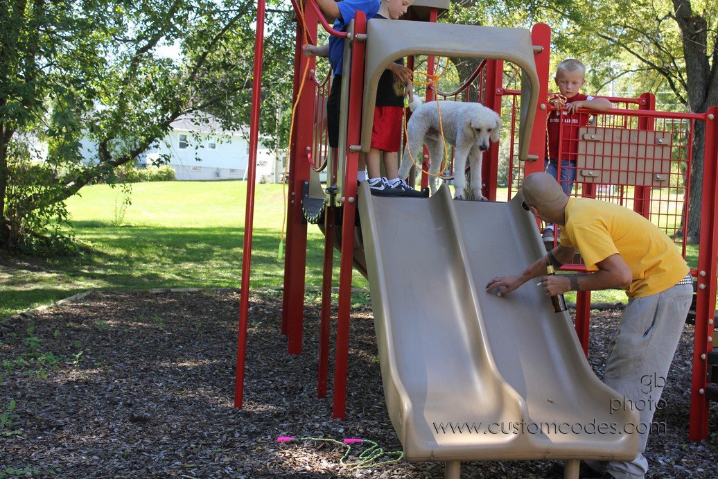 Elwood_FirstTimeOnSlide