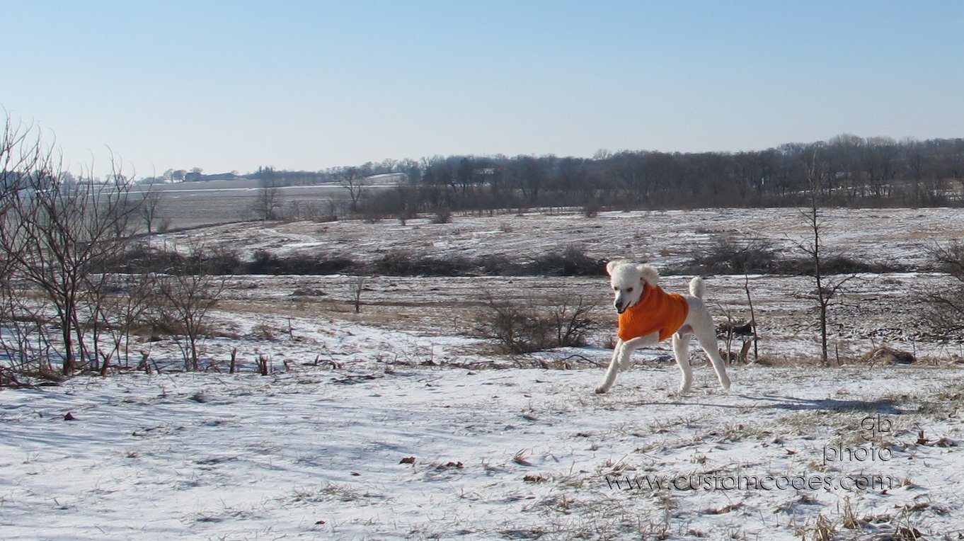 ElwoodWithA_Smile_2011_0106