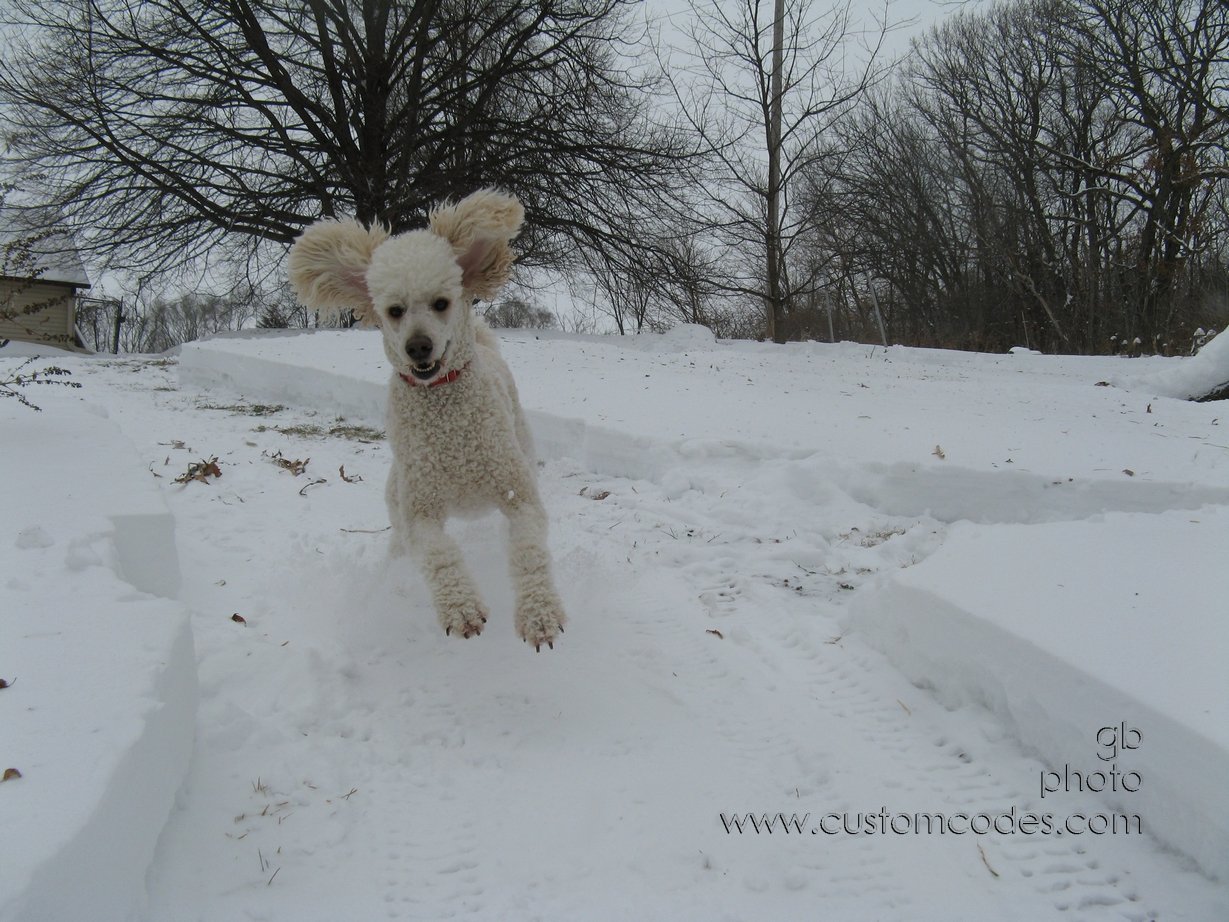 SnowFun_2011_0201