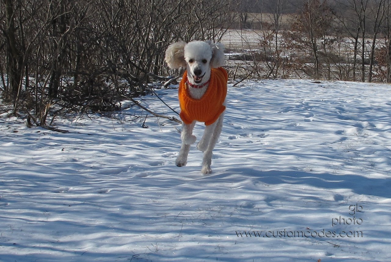 ElwoodSmiles_2011_0106
