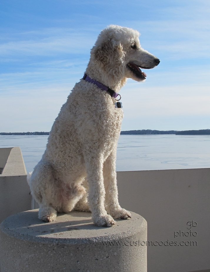 Elwood_MononaTerrace_20120108