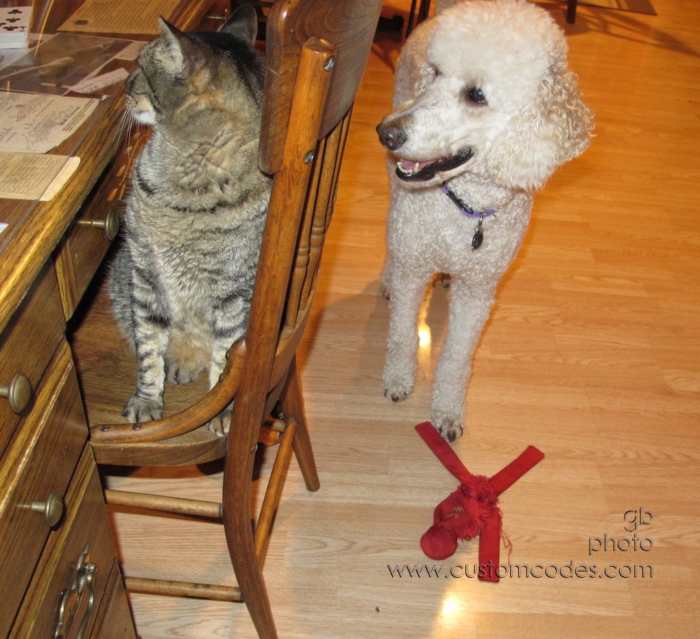elwoodAndMax_201206_2