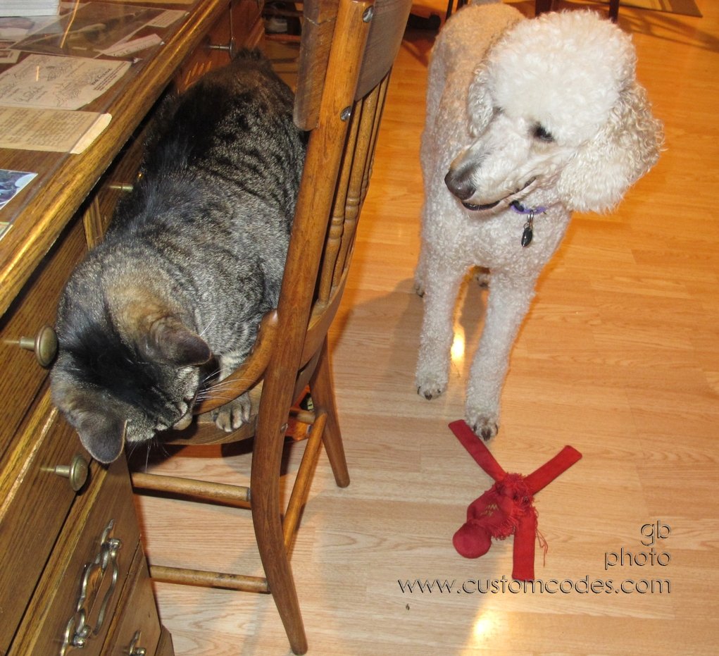 elwoodAndMax_201206