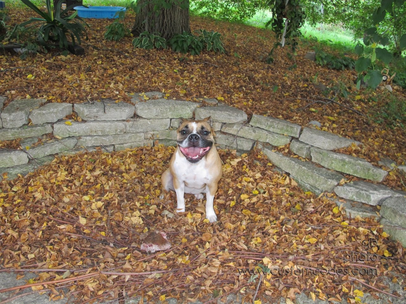 Annie_Smiling_20120831