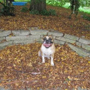 Annie_Smiling_20120831