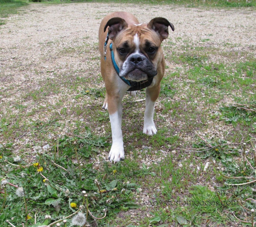 Annie_20120429