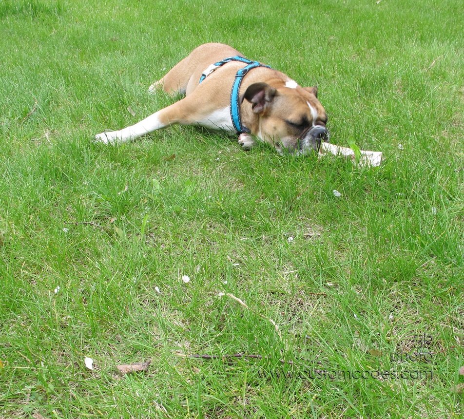 Annie_20120429_16
