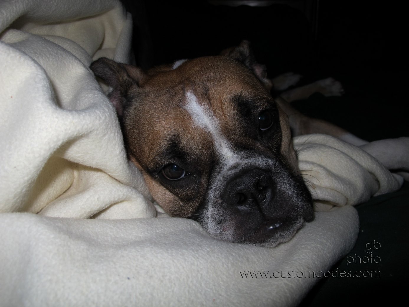 Annie_20120925