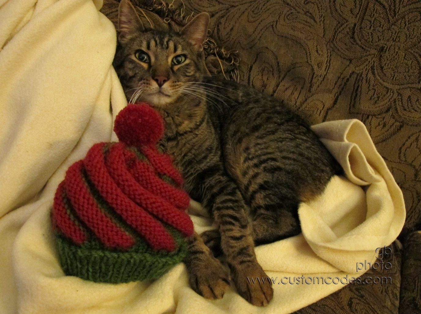 MaxNotInTheHat_20121031