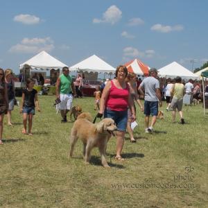 MoundsDogFest2012_4