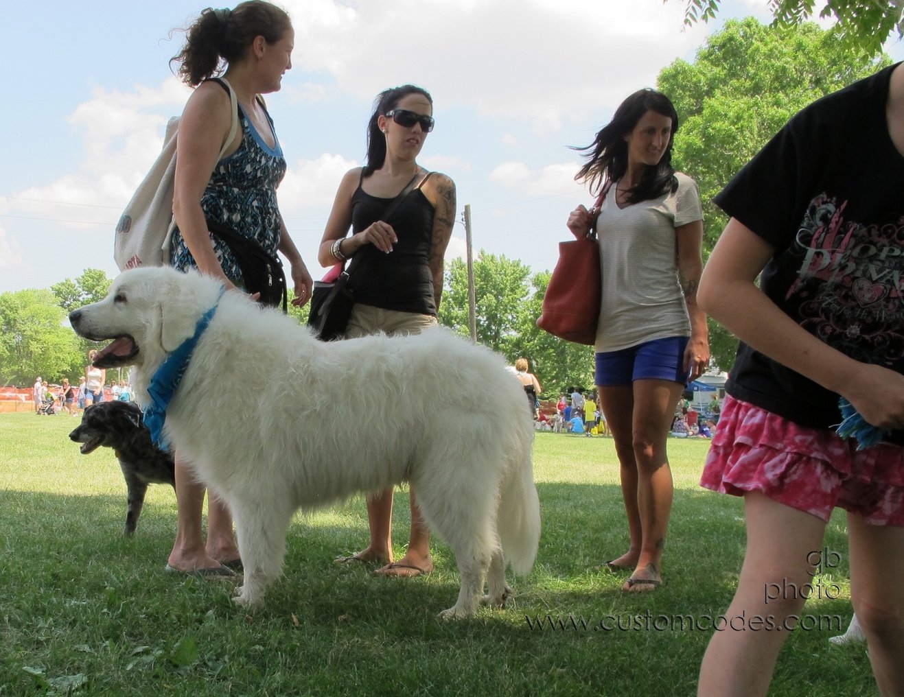 MoundsDogFest20120610_LookingWhere
