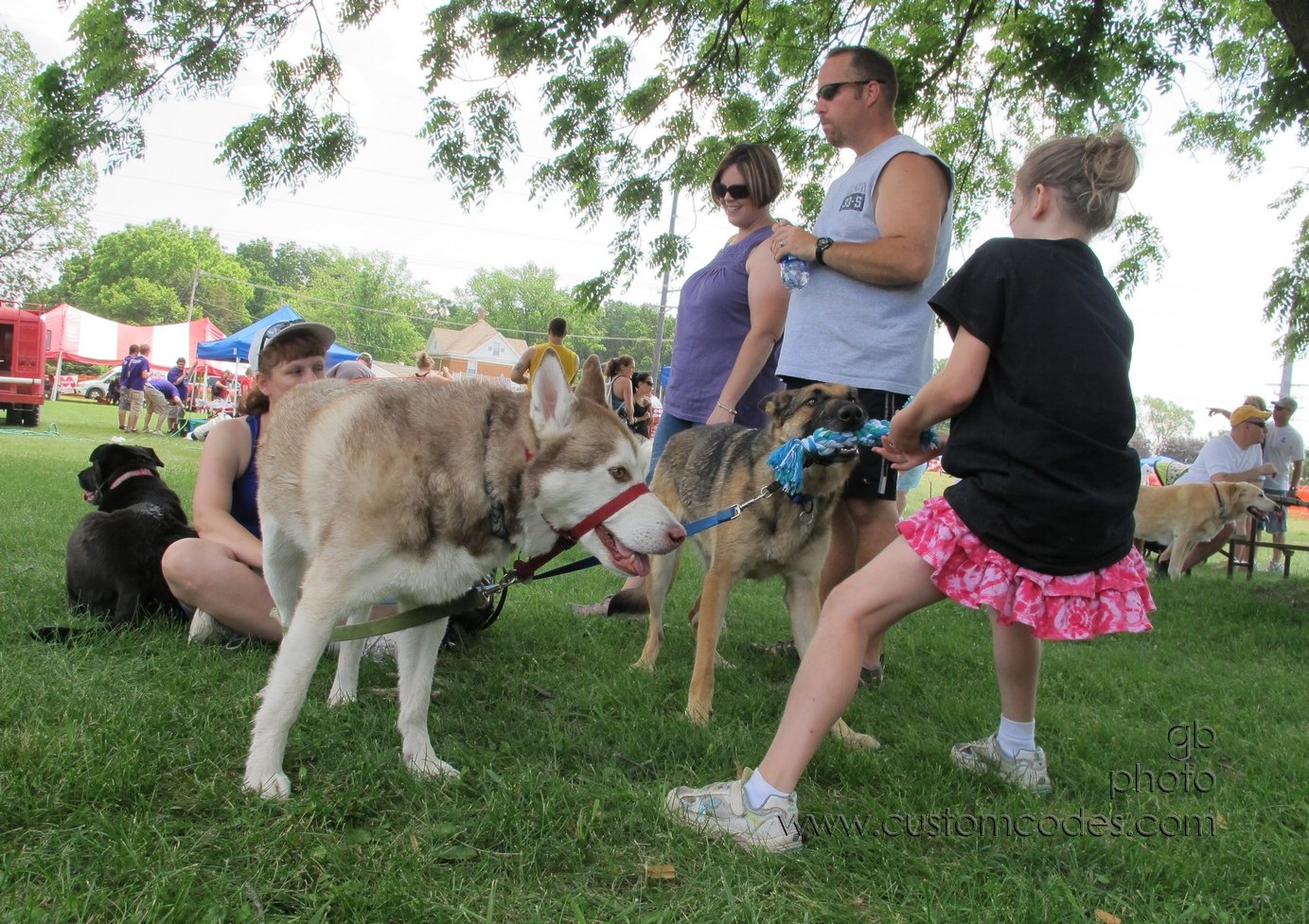 MoundsDogFest20120610_Tug