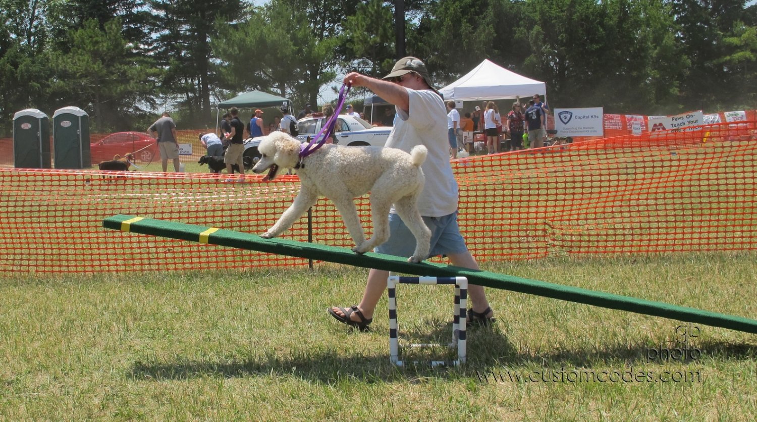 MoundsDogFest2012_5