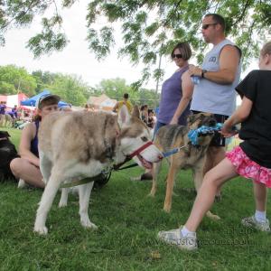 MoundsDogFest20120610_Tug