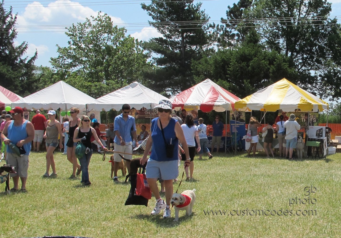 MoundsDogFest2012_3