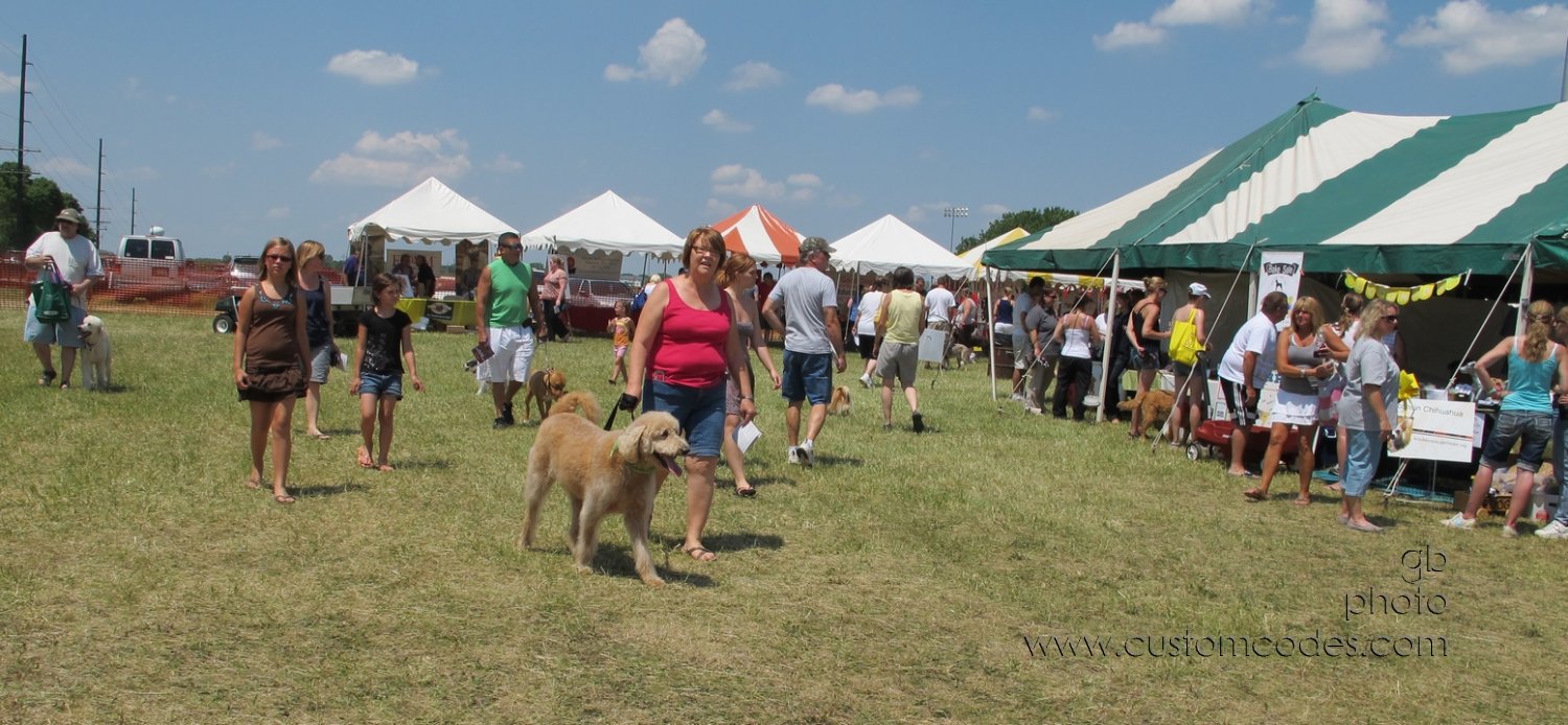 MoundsDogFest2012_4