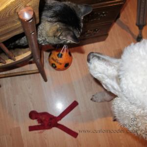 elwoodAndMax_201206_5