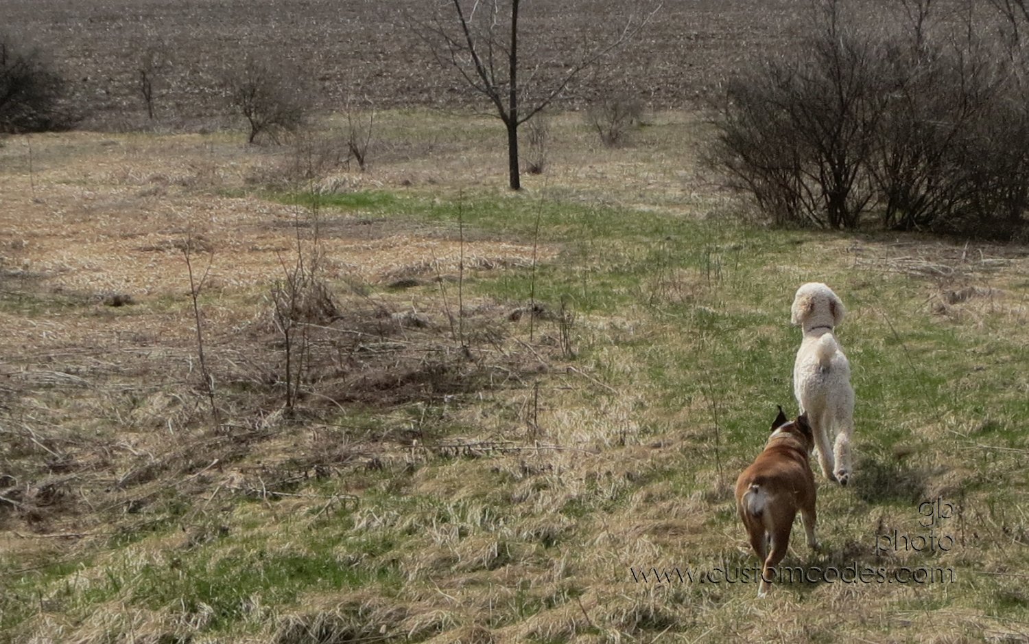 AnnieElwood_2_20130426