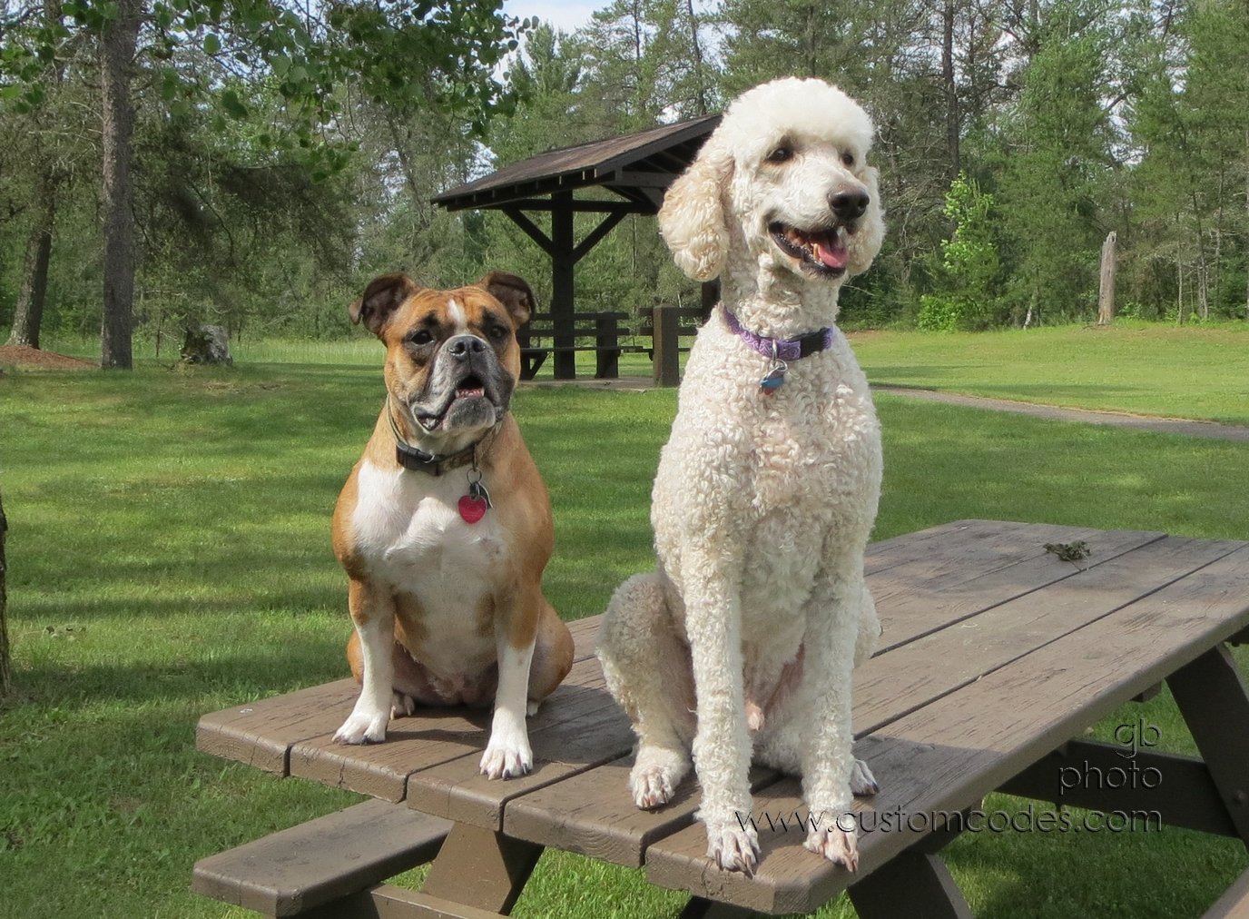 Elwood_Annie_20130629_r