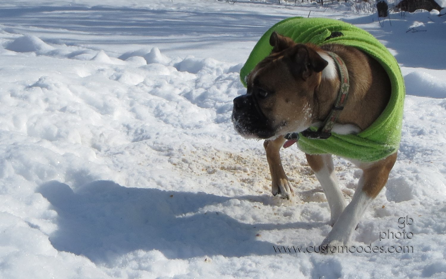 Annie_20130202