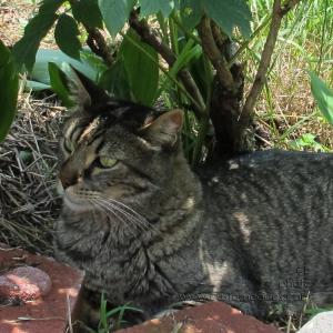 Max_20130623
