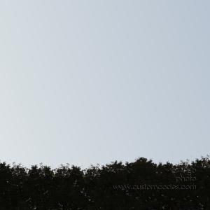 wall