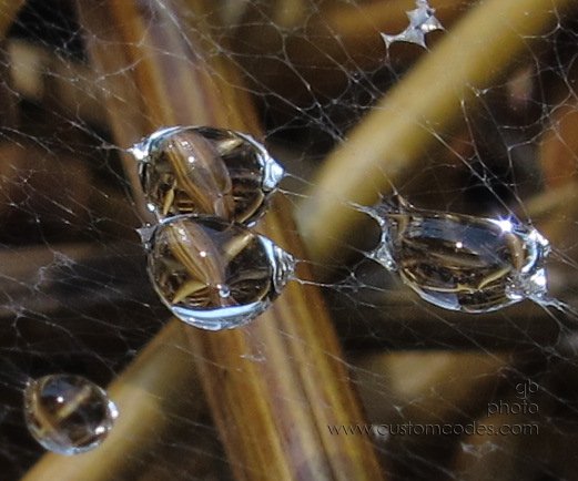 ThreeJewels_20120704