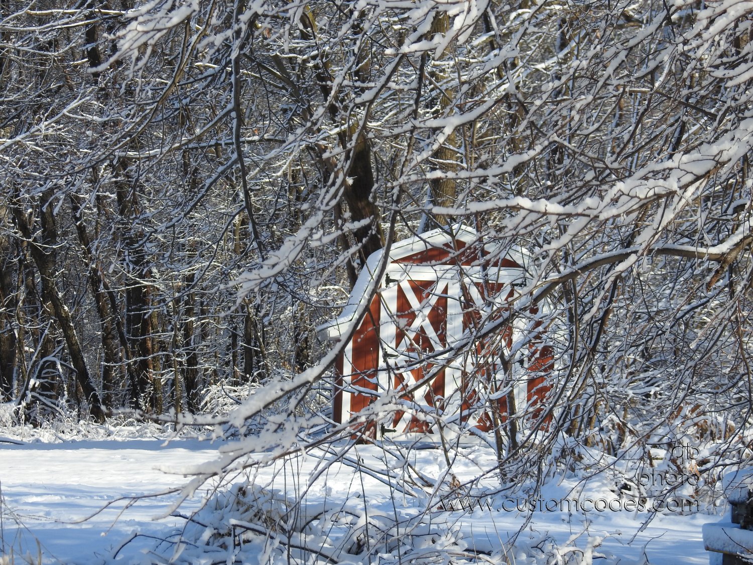 20190101_redShed