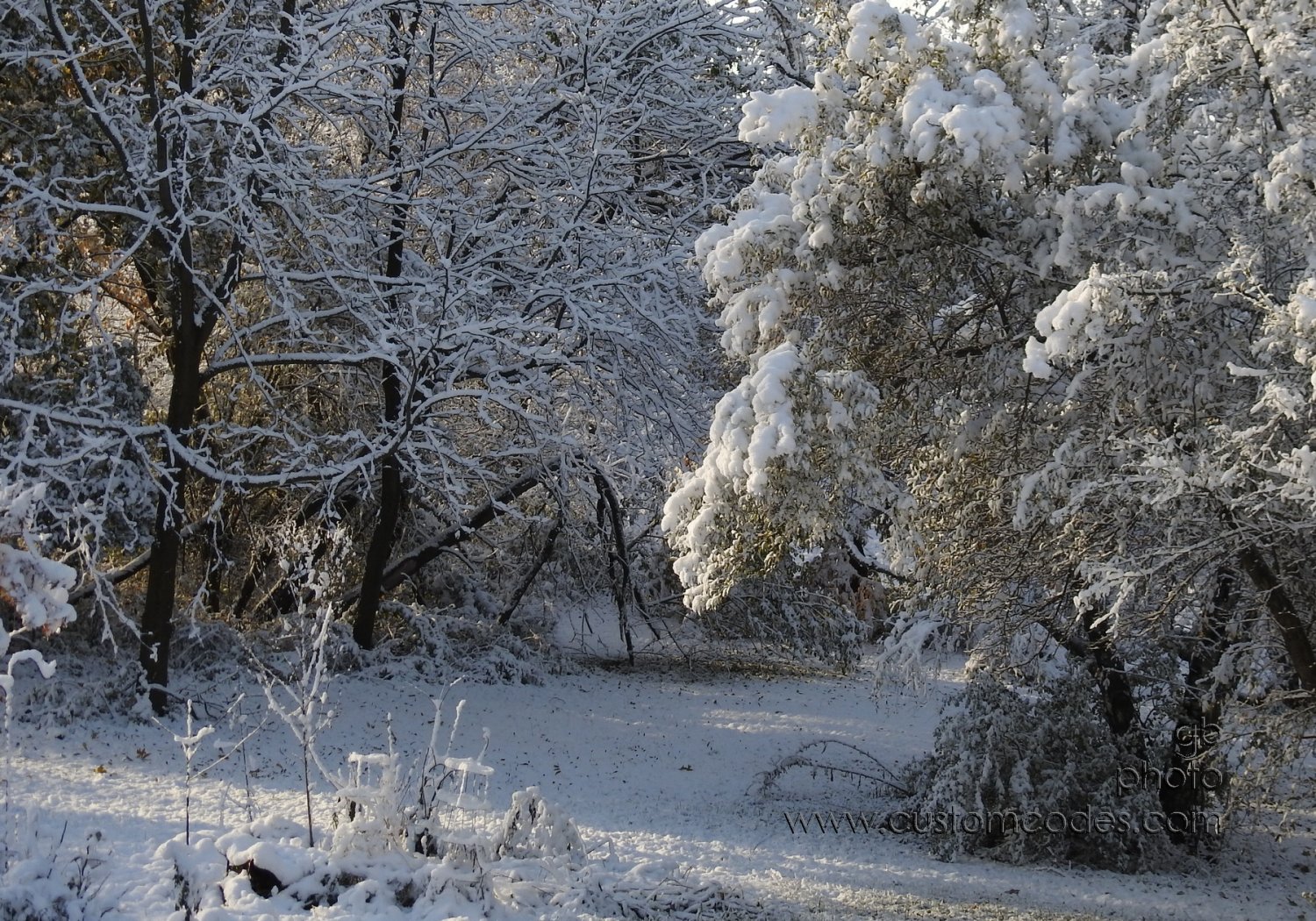 firstSnow_s_20191029
