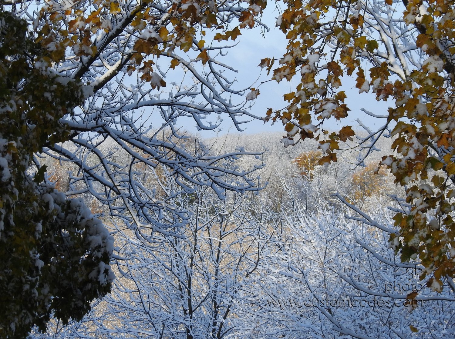 firstSnow_w_20191029