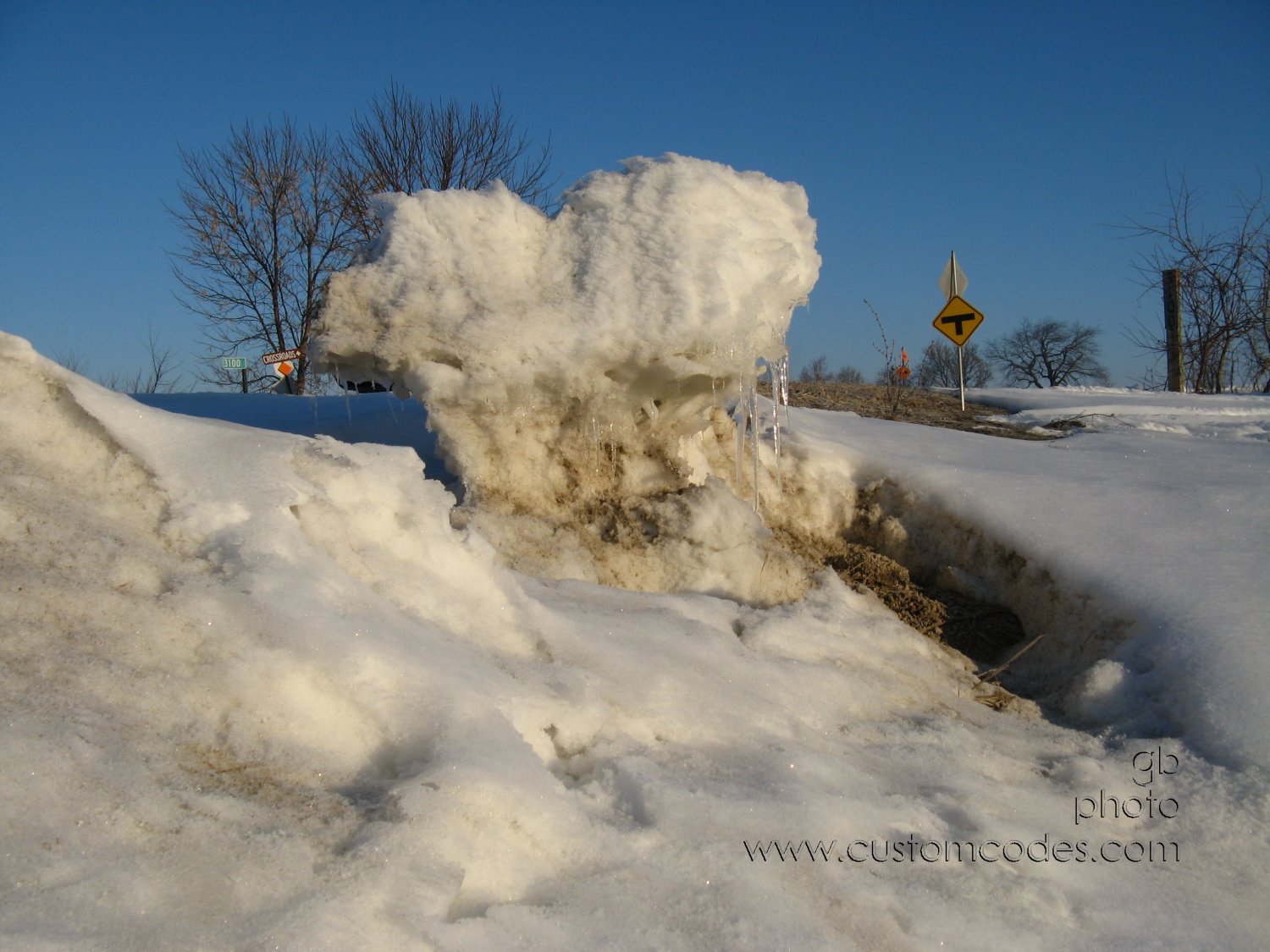 NaturesSculpture20100306_2