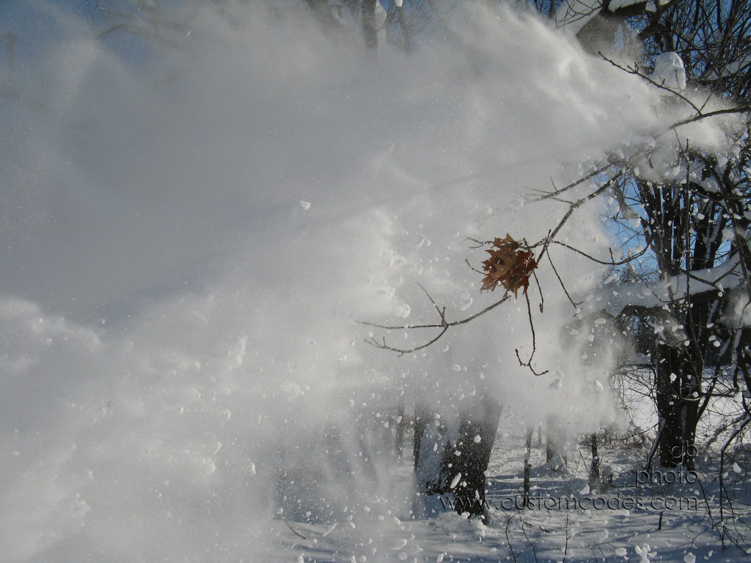 091210BlowersView